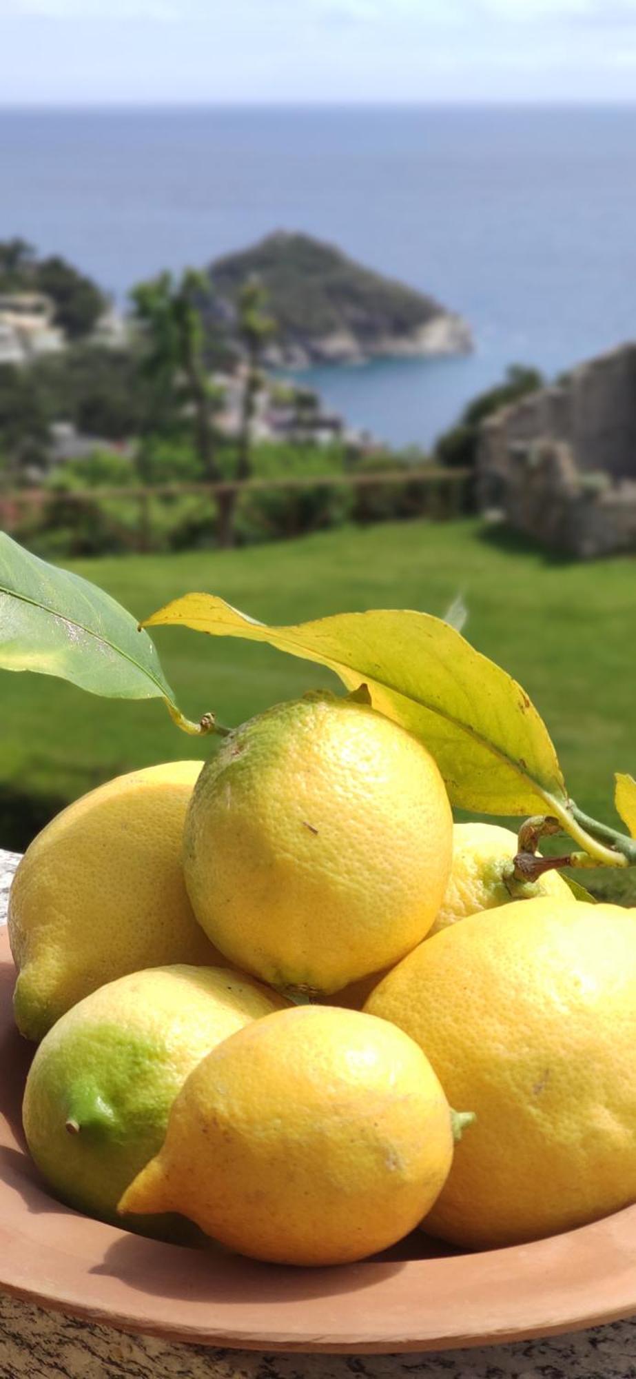 Il Giardino Sull'Isola - Appartamento - ברג'ג'י מראה חיצוני תמונה