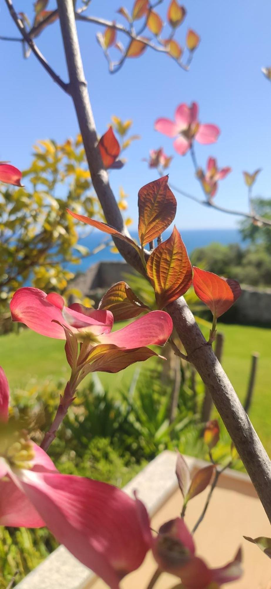Il Giardino Sull'Isola - Appartamento - ברג'ג'י מראה חיצוני תמונה